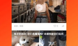 久久视频6,探索未知，畅享视听盛宴